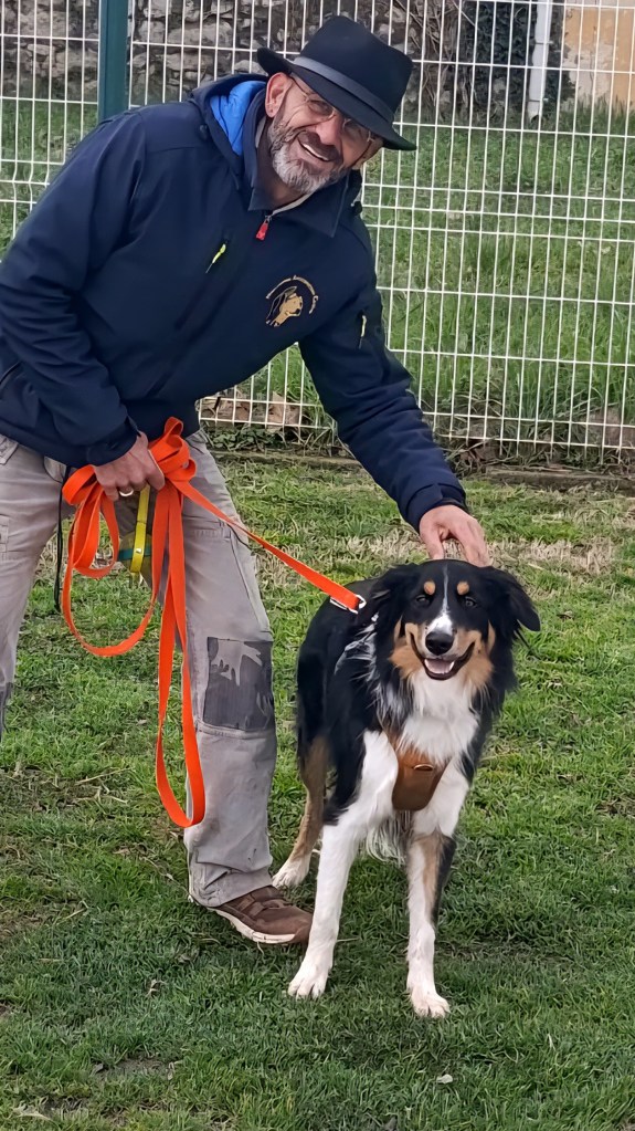 educateur canin cogolin