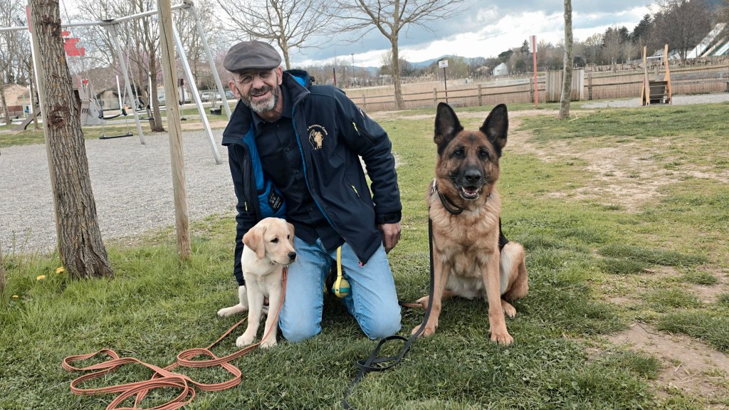 education canine cogolin