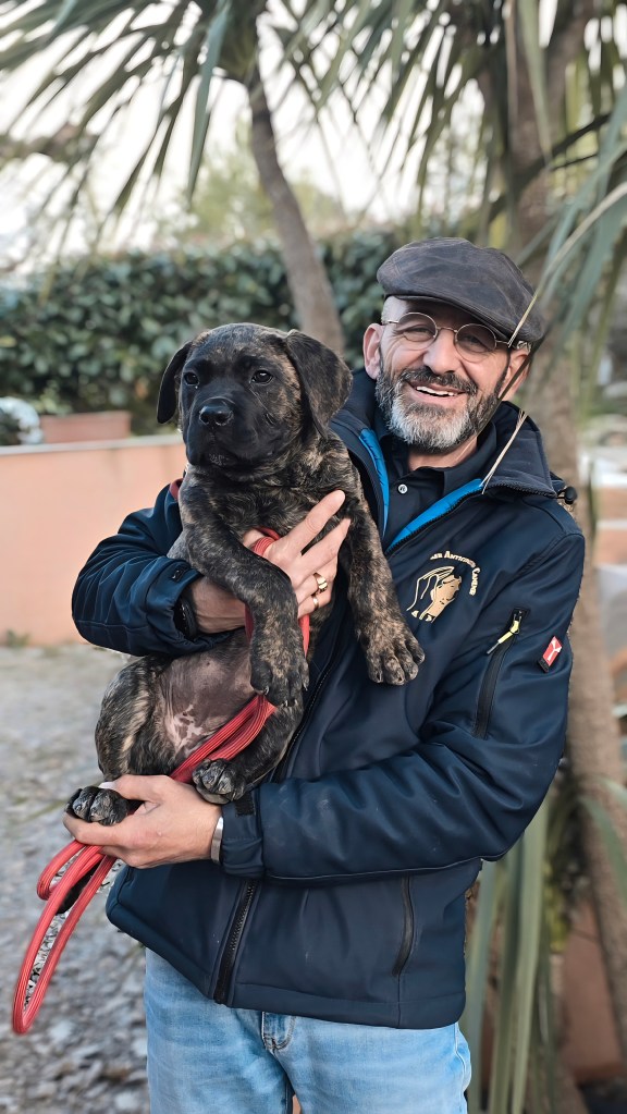 education canine taradeau