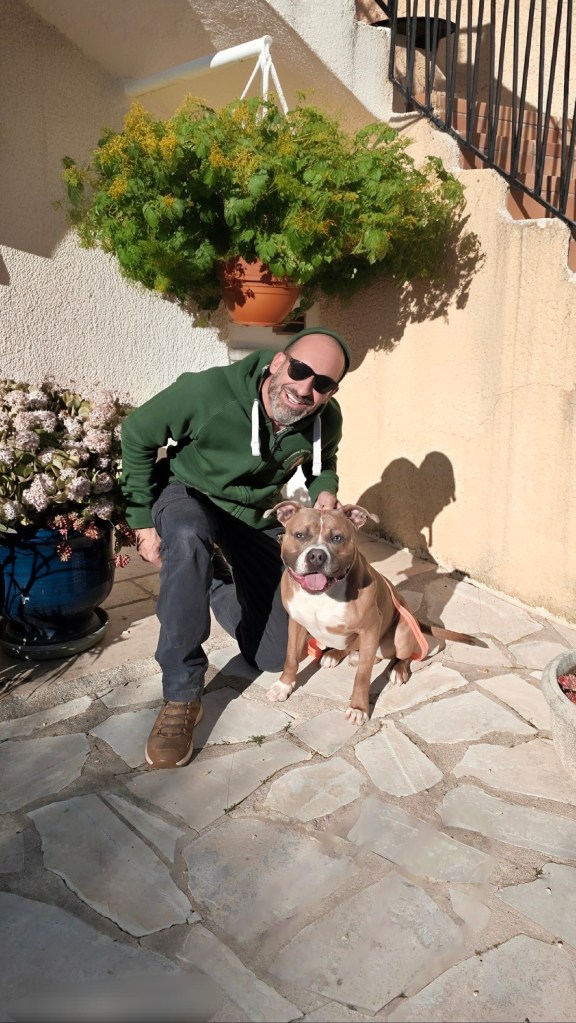 education canine le cannet des maures