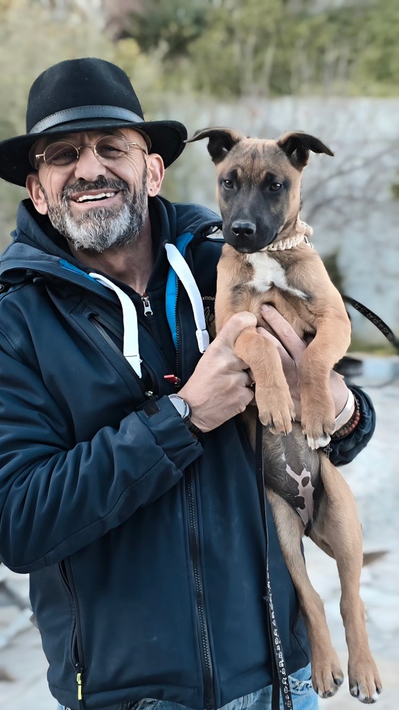 education canine sainte maxime