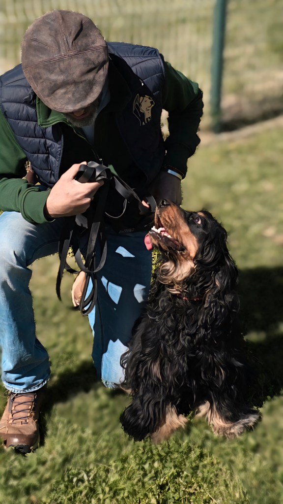 education canine vidauban