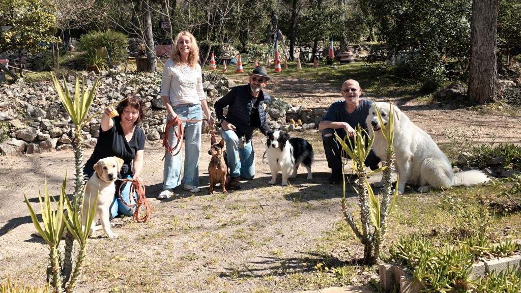 education canine cours collectif