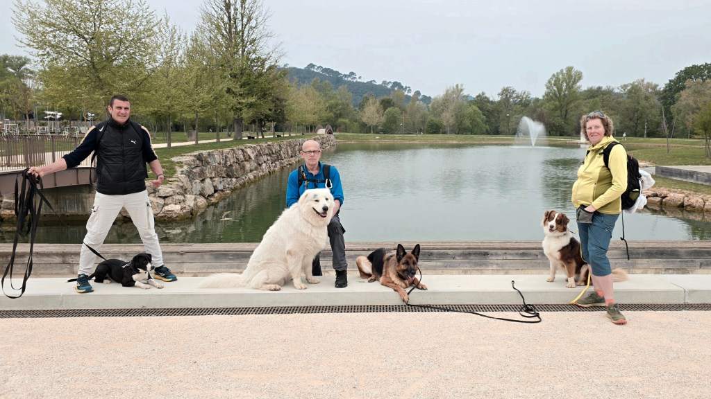 education canine cours collectif monaco