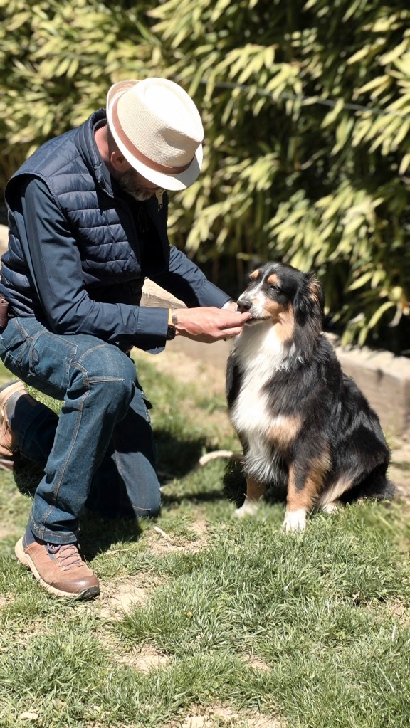 education canine draguignan