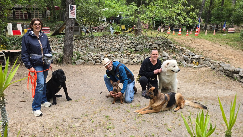 education canine club canin vidauban