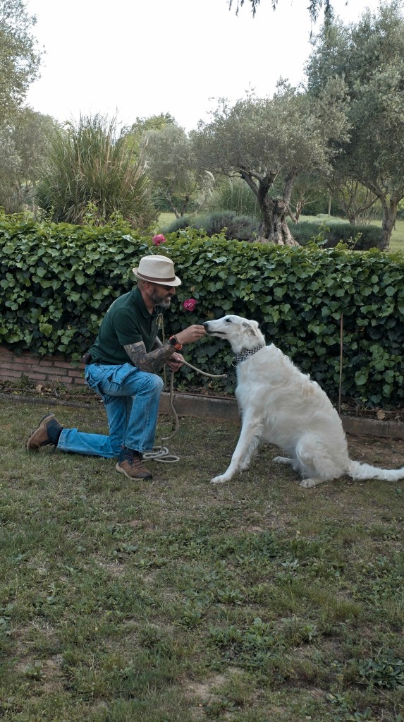 education canine le cannet des maures
