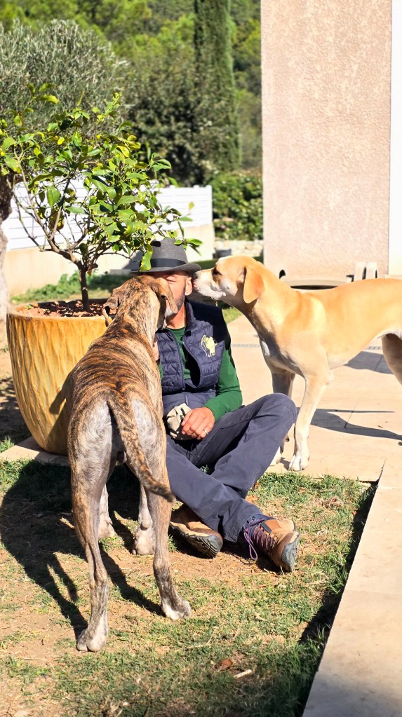 education canine vidauban
