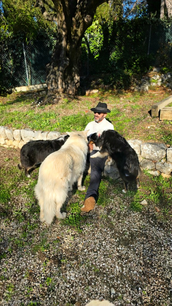 education canine grasse