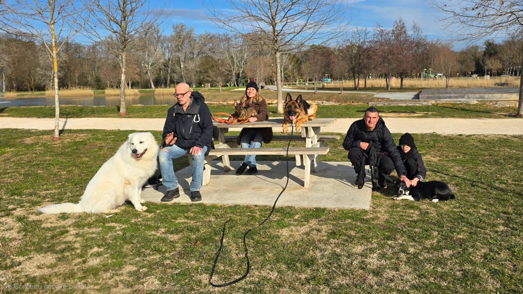 education canine cours collectif vidauban