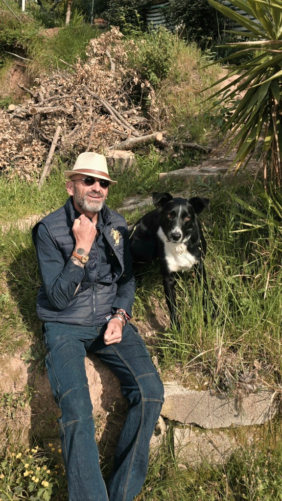 education canine frejus
