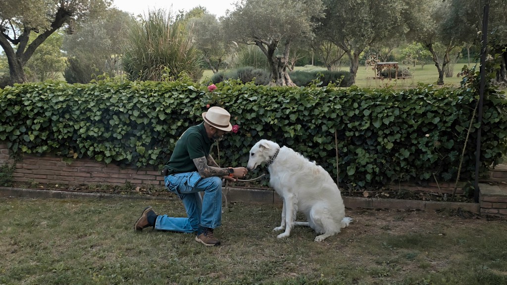 educateur canin le cannet des maures