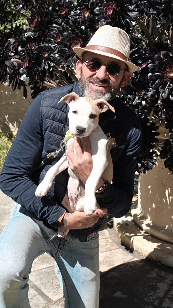 educateur canin le cannet