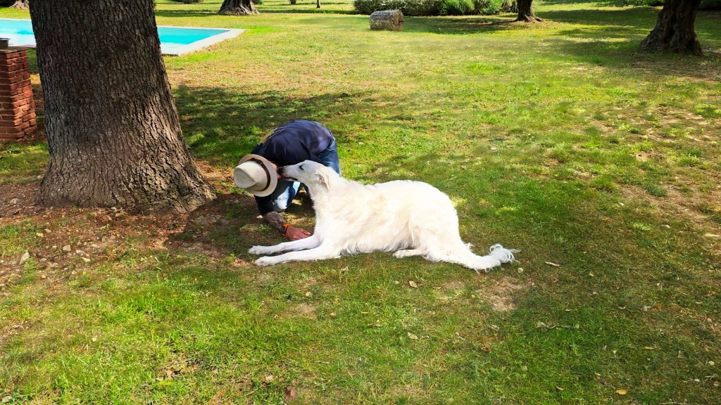 educateur canin le luc