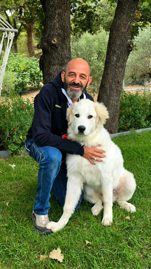educateur canin saint raphael