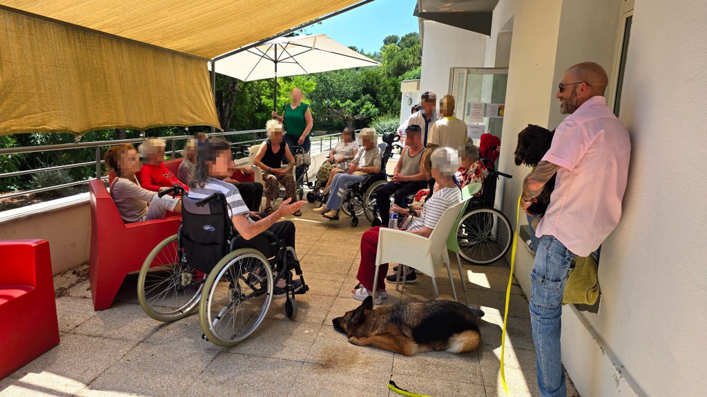mediation canine vidauban