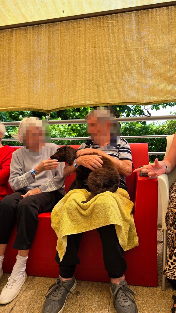 mediation animale frejus