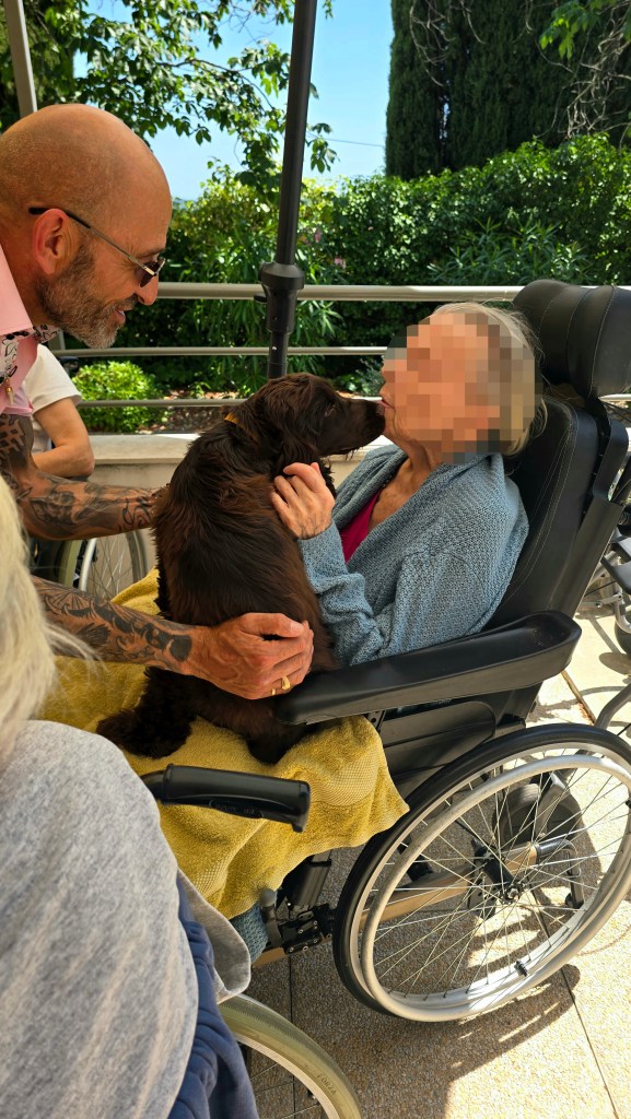 mediation canine frejus