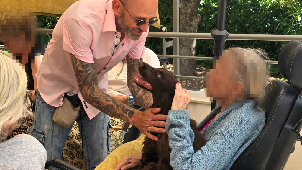 mediation animale vidauban
