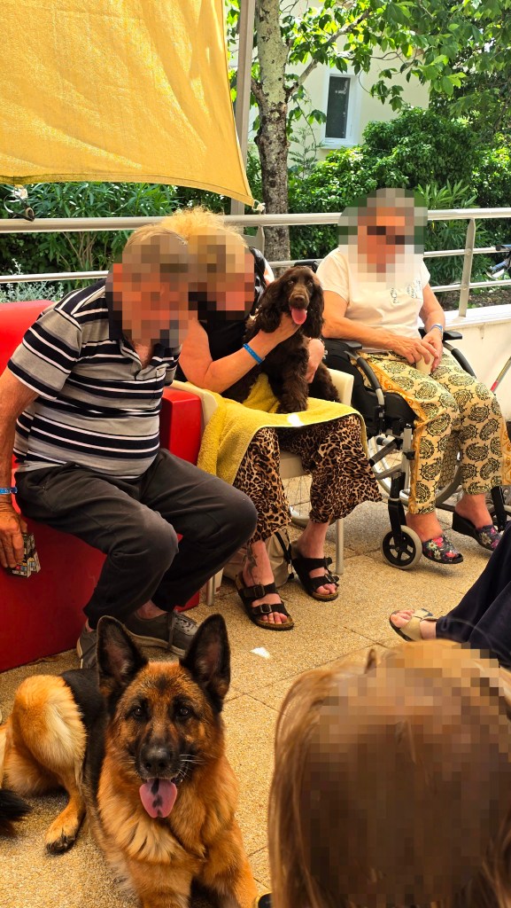 mediation animale saint raphael