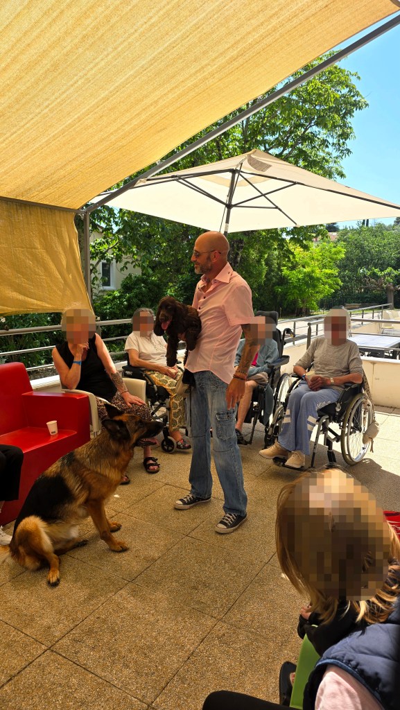 mediation animale draguignan