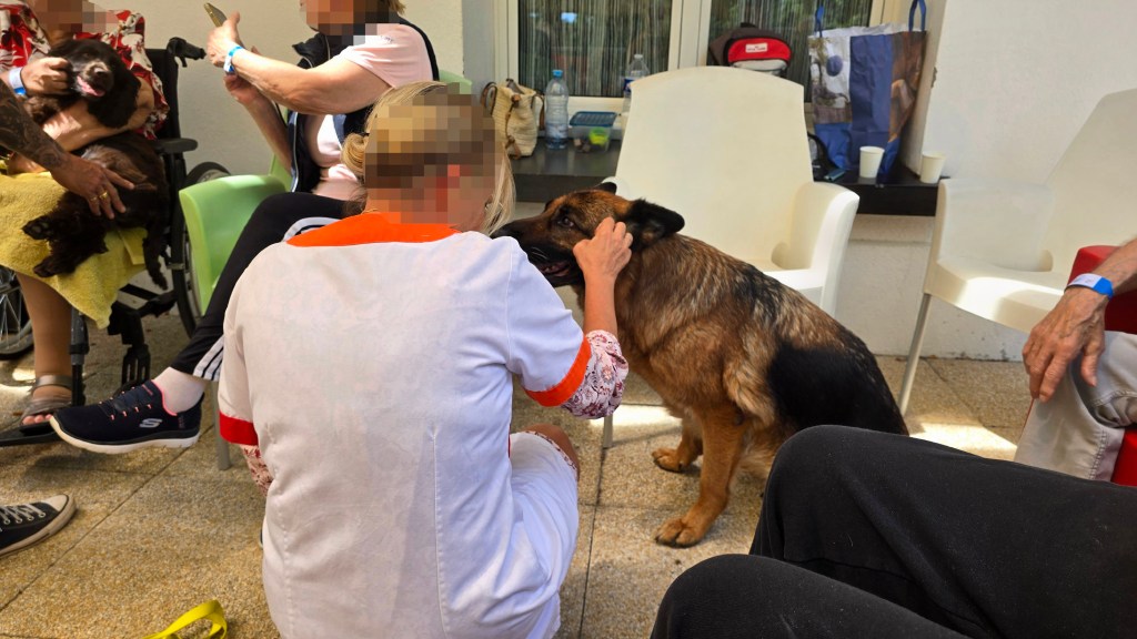 mediation animale cannes