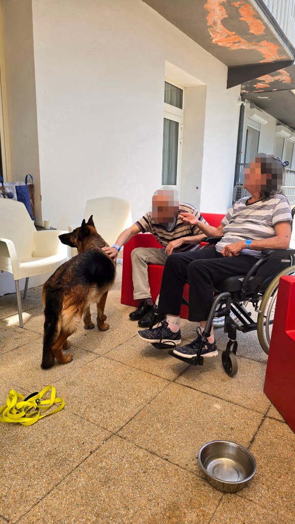 mediation animale le cannet