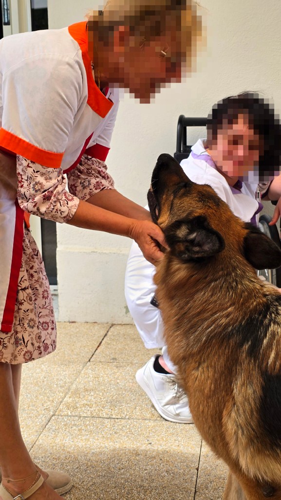 mediation canine le cannet