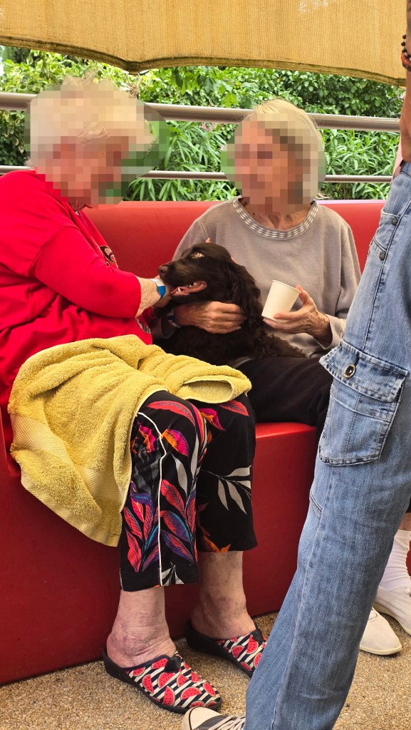 mediation animale mougins