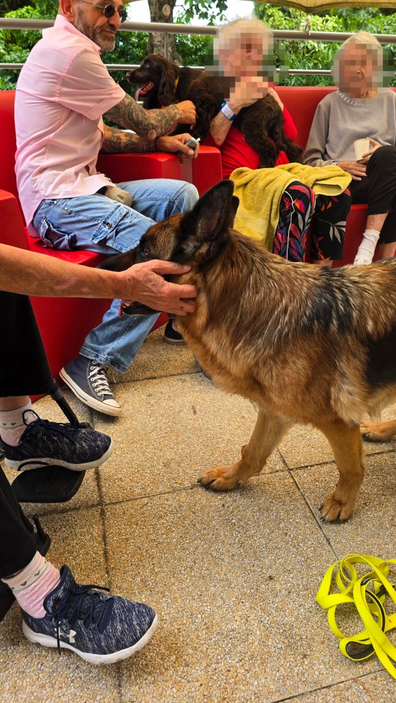 mediation canine mougins