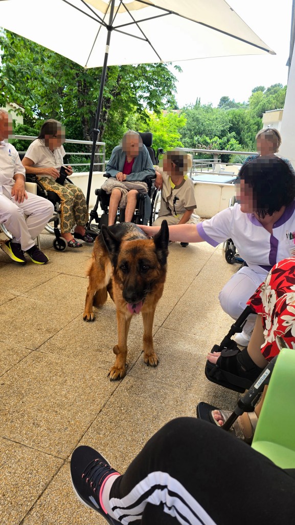 education canine monaco