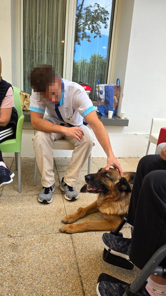 educateur canin vidauban