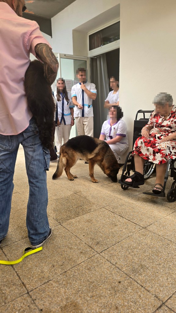 education canine vidauban