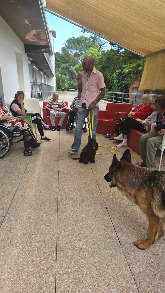 mediation canine toulon