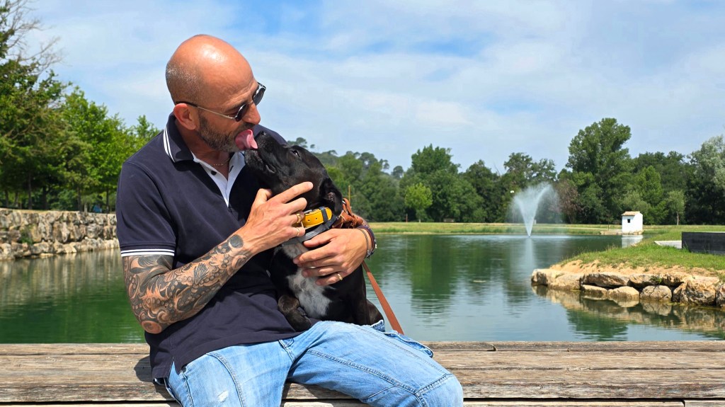 educateur canin vidauban