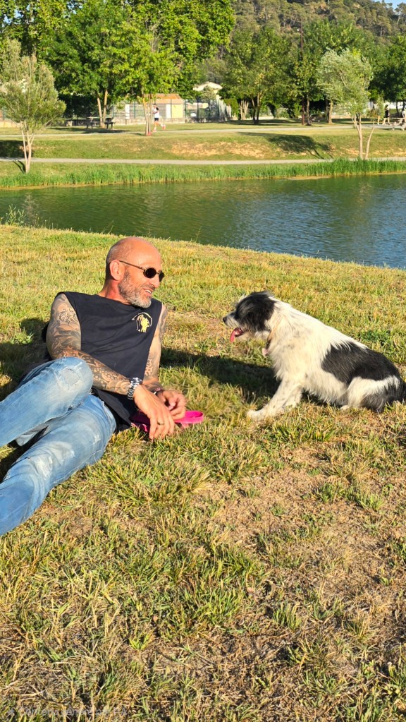 educateur canin le cannet des maures