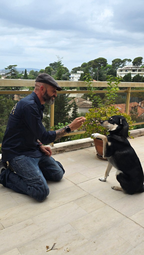 education canine le cannet