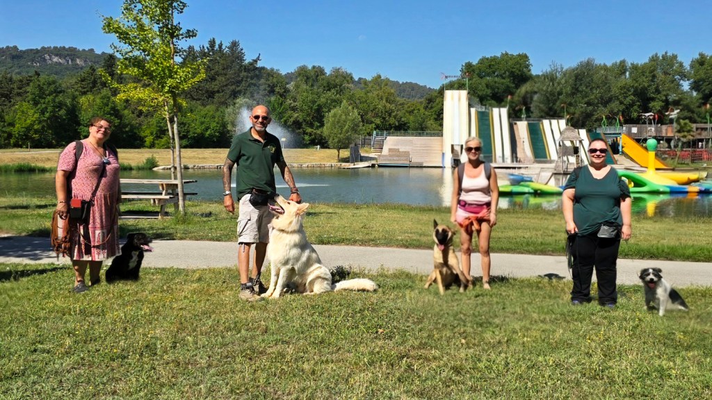 education canine cours collectif vidauban