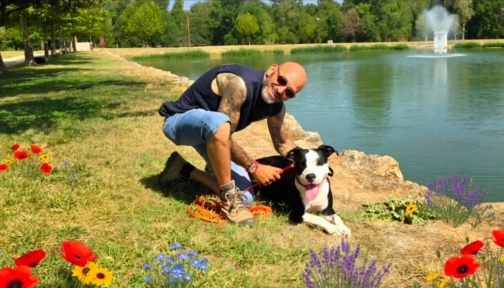 educateur canin vidauban