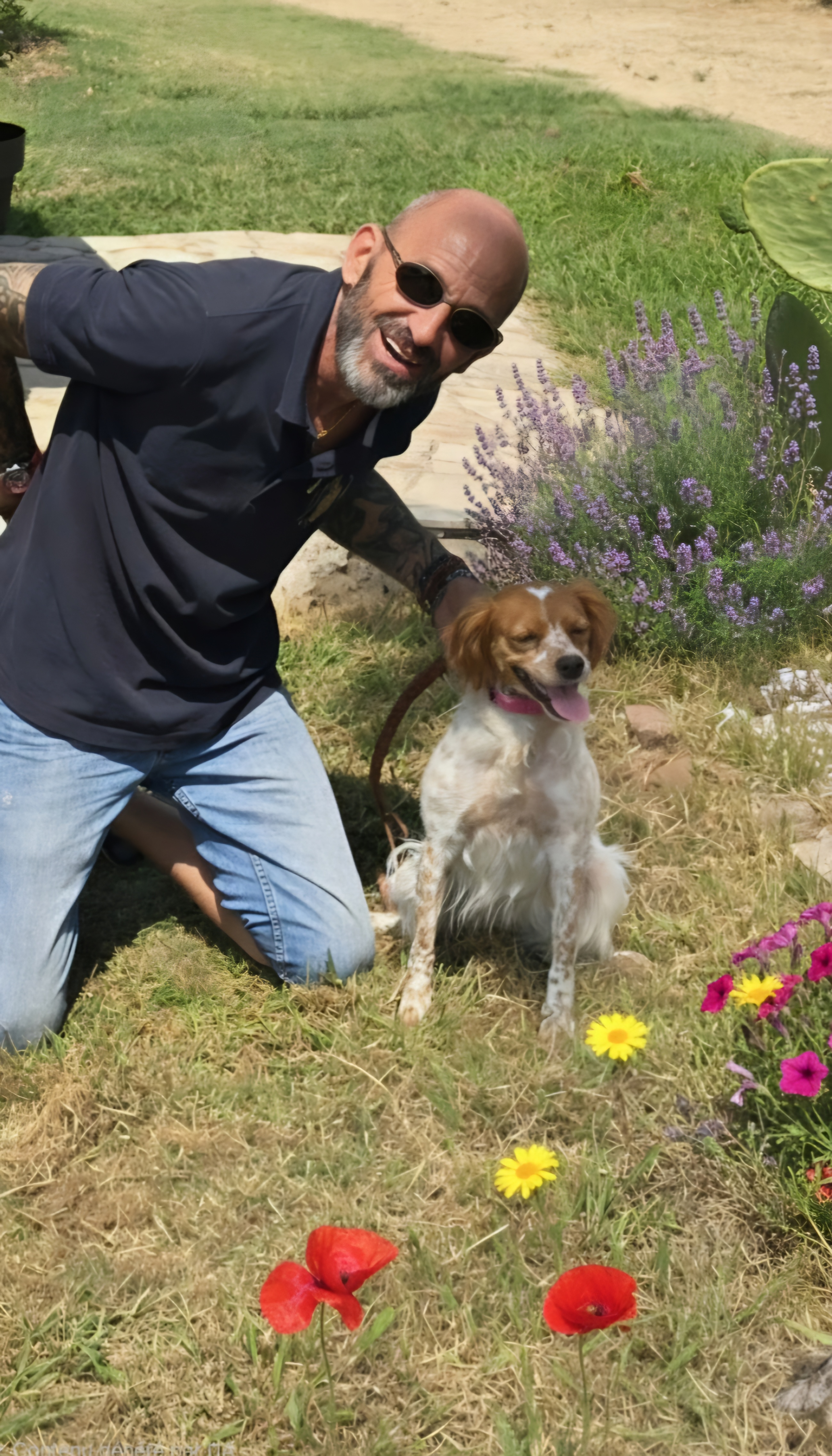educateur canin le luc