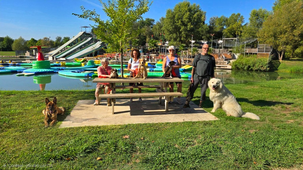 education canine cours collectif toulon