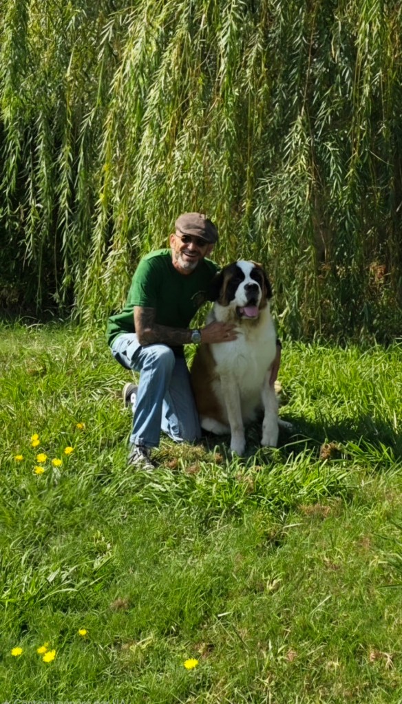dresseur de chien les arcs
