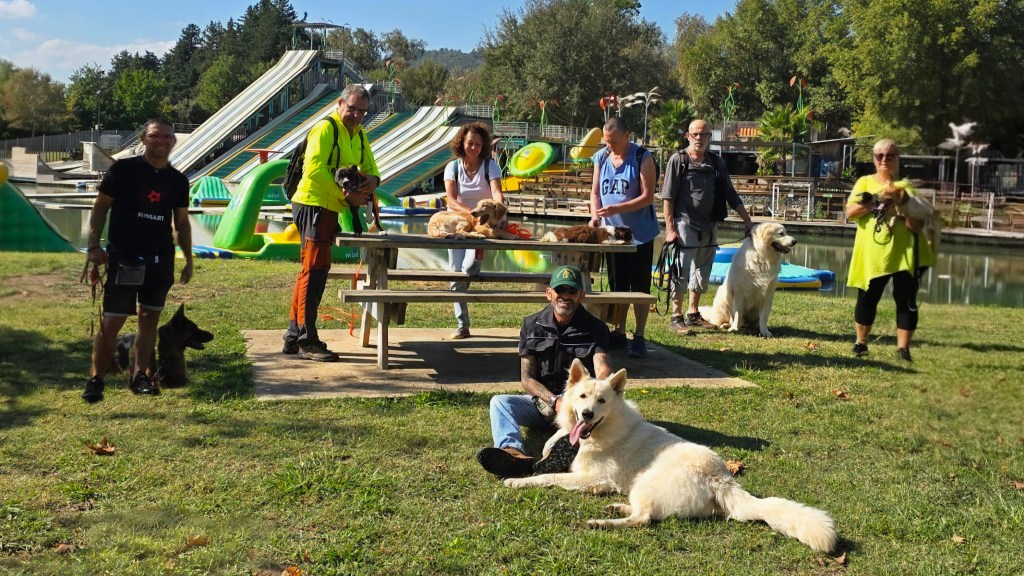 dressage collectif chien vidauban