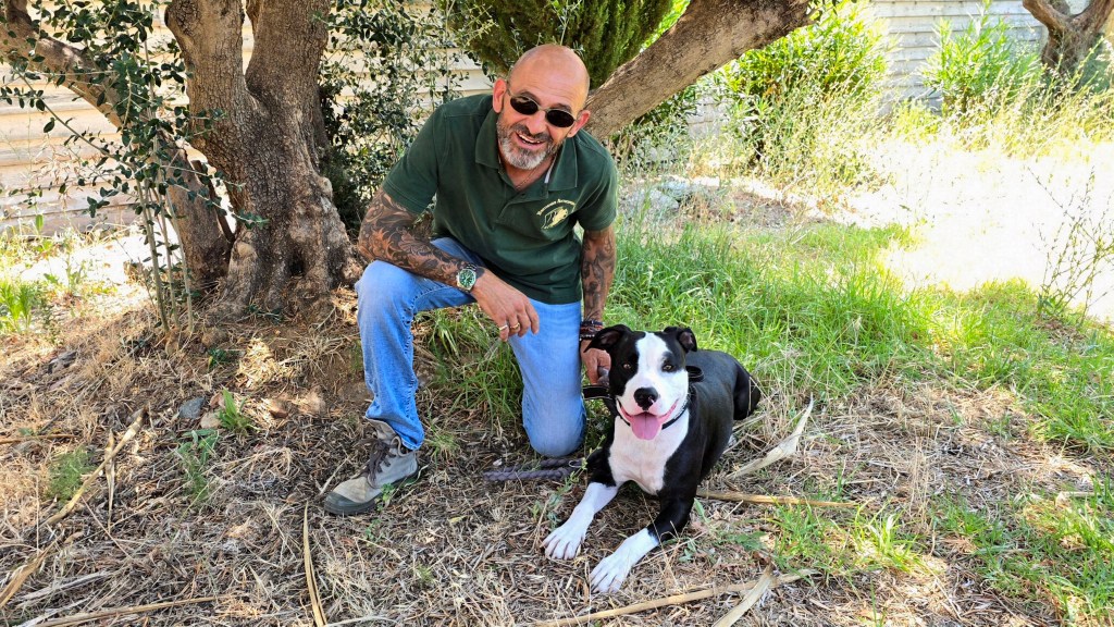bien eduquer son chien
