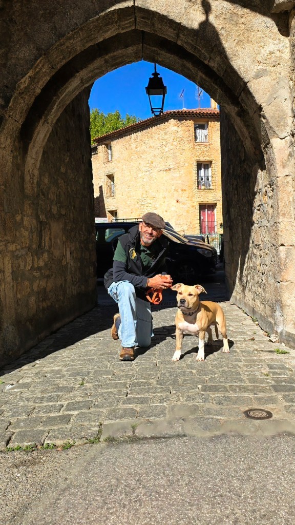 comportementaliste chien vidauban