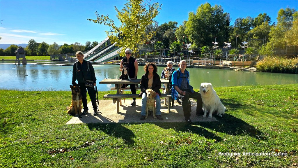 cours collectif d'éducation canine