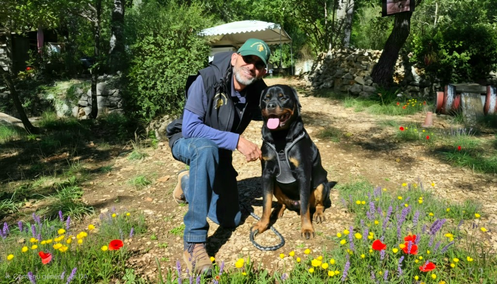 formation maitre chien categorise