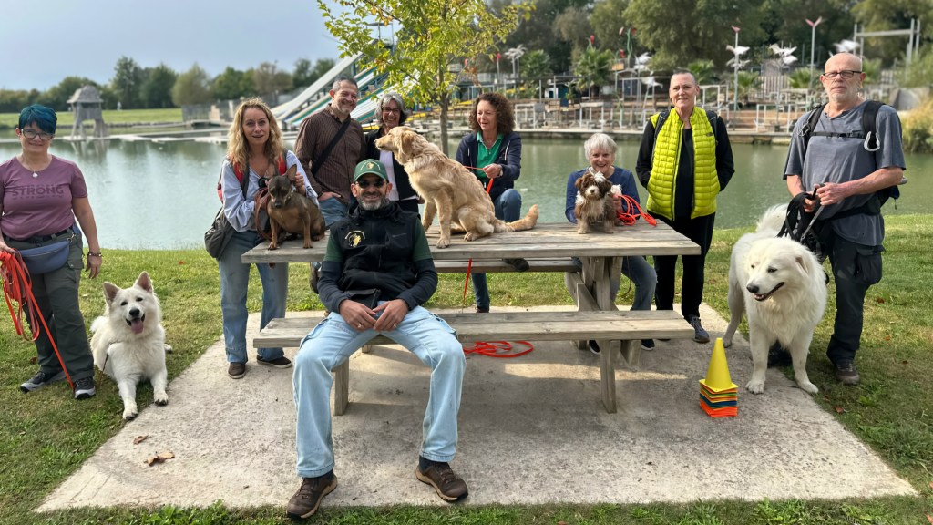 seance education canine collective vidauban